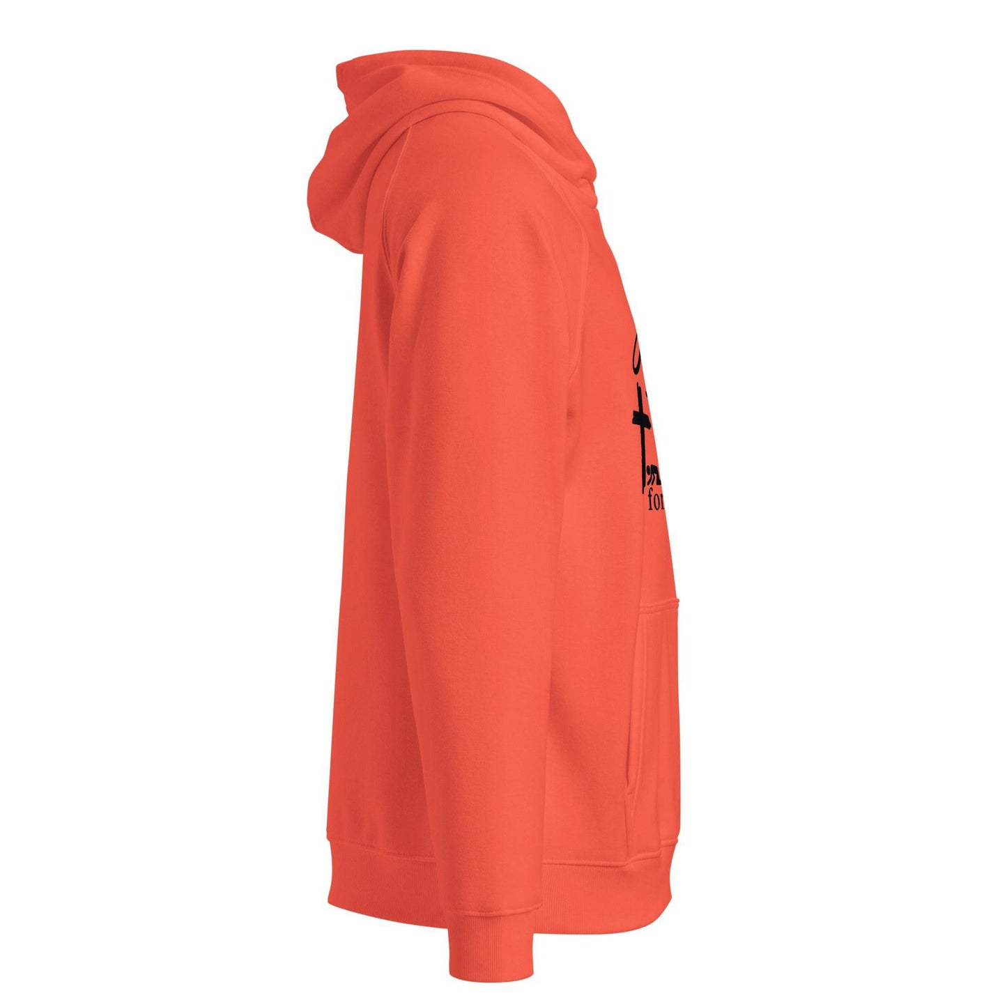 Unisex eco raglan hoodie - Truth is life Style