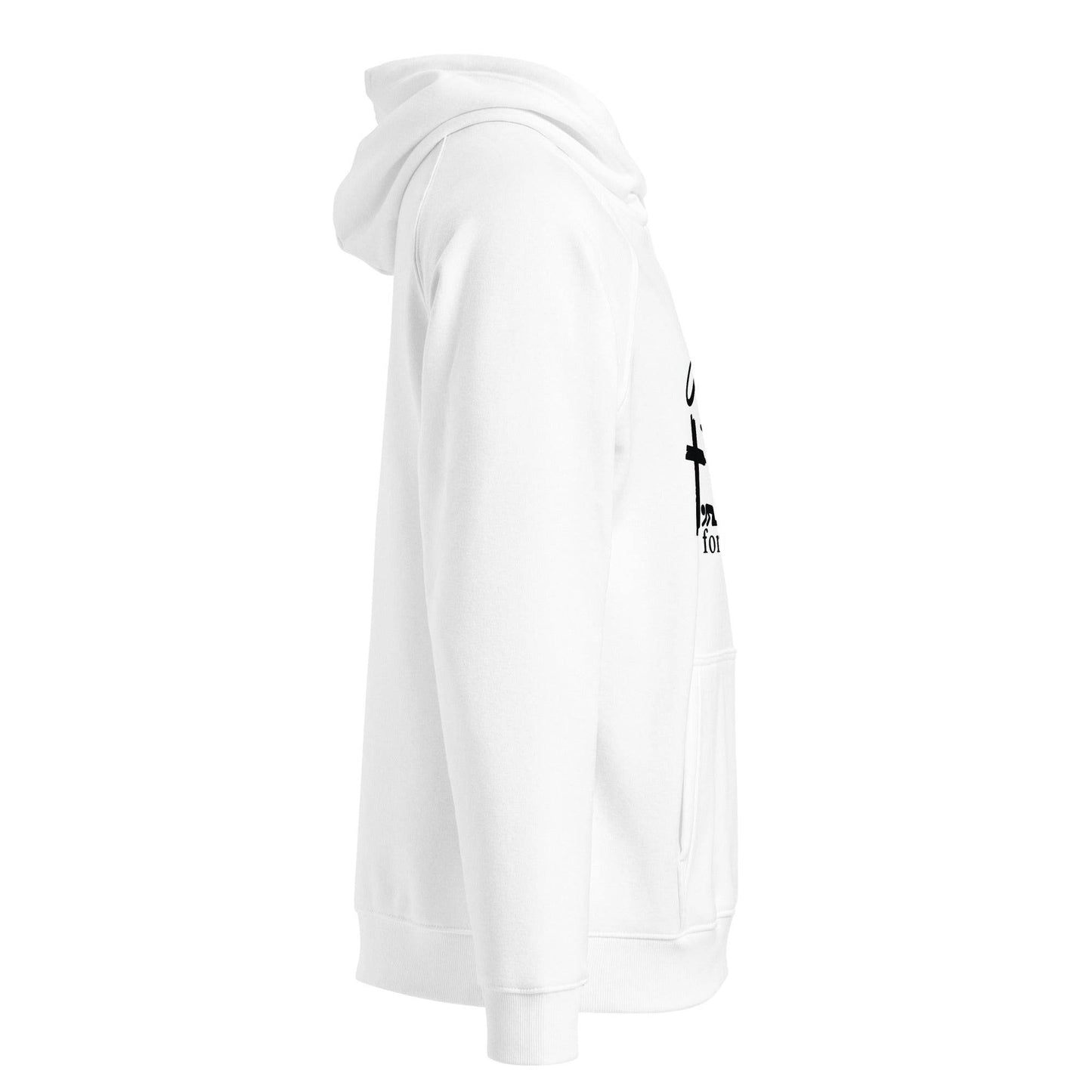 Unisex eco raglan hoodie - Truth is life Style